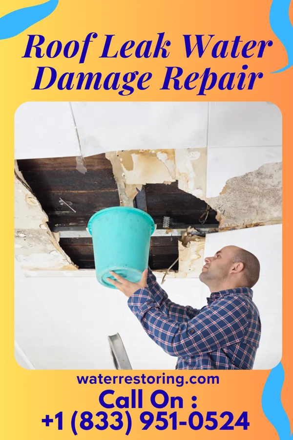 Roof Leak Water Damage Repair in Poynor, TX
