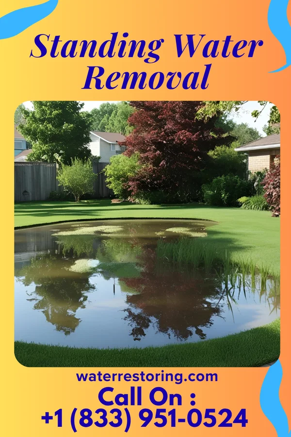 Standing Water Removal in Poynor, TX